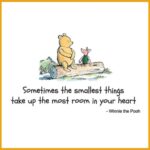 QUOTES SMALLEST THINGS