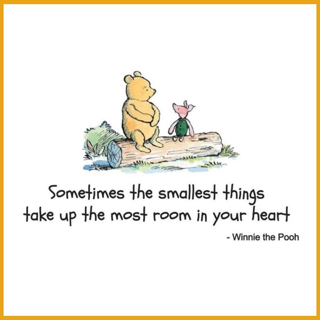 QUOTES SMALLEST THINGS